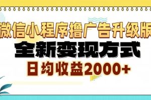 (13362期)微信小程序撸广告6.0升级玩法,全新变现方式,日均收益2000+