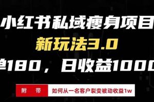 (13348期)小红书瘦身项目3.0模式,新手小白日赚收益1000+(附从一名客户裂变收益…