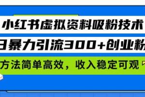 (13345期)小红书虚拟资料吸粉技术,日暴力引流300+创业粉,方法简单高效,收入稳…