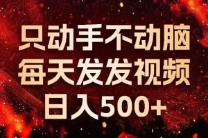 (13325期)种草平台发短视频,只动手不动脑,每天发发视频,日入500+
