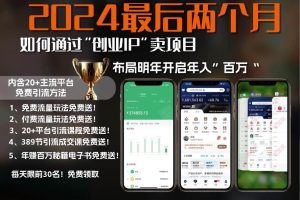 (13322期)2024最后两个月如何通过”创业IP“卖项目年入”百万“,创业IP+最强引流…