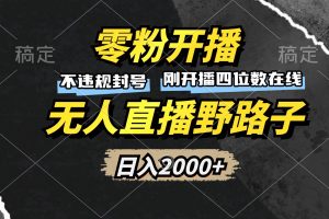 (13292期)零粉开播,无人直播野路子,日入2000+,不违规封号,躺赚收益!