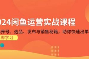 (13290期)2024闲鱼运营实战课程:揭秘养号、选品、发布与销售秘籍,助你快速出单