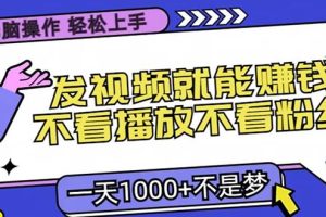 (13283期)无脑操作,只要发视频就能赚钱?不看播放不看粉丝,小白轻松上手,一天…