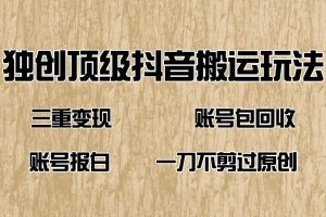 (14187期)抖音短剧纯搬运玩法,三重变现,账号包回收,账号报白一刀不剪过原创