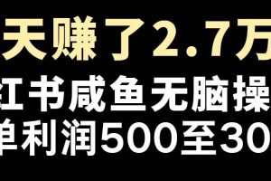 (14183期)最赚钱项目之一,2025爆火,逆风翻盘!