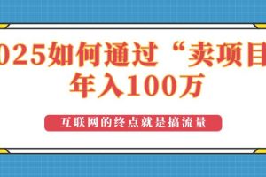 (14181期)2025年如何通过“卖项目”实现100万收益:最具潜力的盈利模式解析
