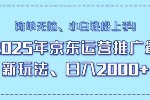 (14179期)25年京东运营推广最新玩法,日入2000+,小白轻松上手!