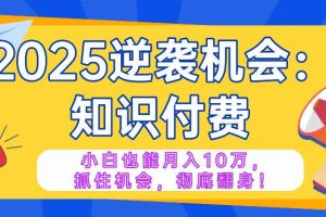 (14166期)2025逆袭项目——知识付费,小白也能月入10万年入百万,抓住机会彻底翻…
