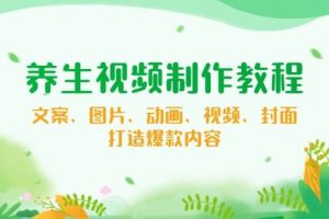 (14163期)养生视频制作教程,文案、图片、动画、视频、封面,打造爆款内容