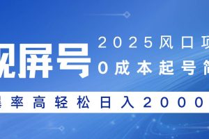 (14157期)2025风口项目,视频号带货,起号简单,爆率高轻松日入2000+