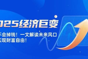 (14115期)2025经济巨变,天上不会掉钱!一文解读未来风口,助你实现财富自由!