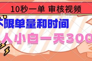 (14093期)10秒一单,审核视频 ,不限单量时间,新人小白一天300+