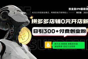 (14092期)拼多多店铺0元开店新规,日引300+付费创业粉,目前方法简单复制粘贴可矩阵