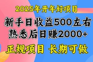 (14076期)2025开年好项目,单号日收益2000左右