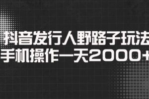 (14068期)抖音发行人野路子玩法,手机操作一天2000+