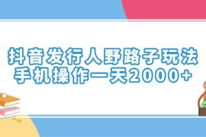 (14041期)抖音发行人野路子玩法,手机操作一天2000+