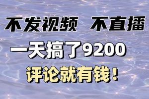 (14018期)不发作品不直播,评论就有钱,一条最高10块,一天搞了9200