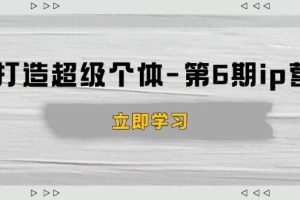 (14015期)打造 超级个体-第6期ip营:商业认知,产品设计,成交演练,解决知识变现难题