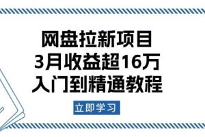 (13994期)网盘拉新项目:3月收益超16万,入门到精通教程