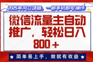 (13993期)微信流量主自动推广,轻松日入800+,简单易上手,做就有收益。