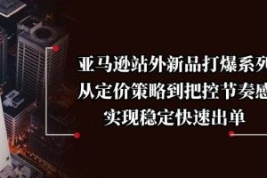 (13970期)亚马逊站外新品打爆系列,从定价策略到把控节奏感,实现稳定快速出单