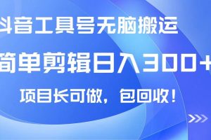 (14572期)抖音工具号无脑搬运玩法,小白轻松可日入300+包回收,长期可做