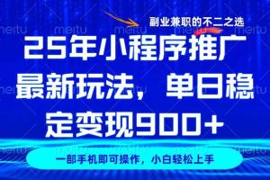 (14550期)25年小程序推广最新玩法,稳定日入900+,副业兼职的不二之选