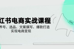 (14549期)小红书电商实战课程,详解养号、选品、文案撰写、爆款打造,实现电商变现