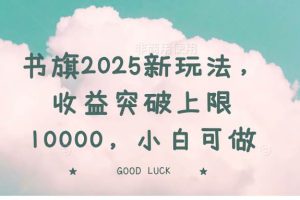 (14519期)书旗2025新玩法,收益突破上限10000,小白可做