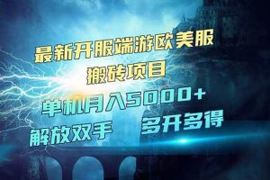 (14516期)全网热门游戏欧美服端游搬砖,最新开服,项目红利期,单机月入5000+