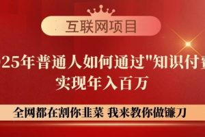 (14466期)【网创项目终点站-镰刀训练营超级IP合伙人】25年普通人如何通过“知识…