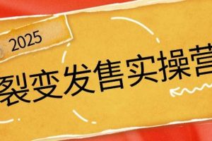 (14465期)裂变发售实操营,全景解析裂变逻辑,打造动销新玩法,助力私域流量引爆