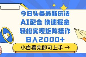 (14463期)今日头条最新玩法,思路简单,复制粘贴,轻松实现矩阵日入2000+