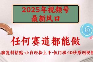 (14453期)2025年视频号新风口,低门槛只需要无脑执行