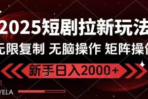 (14429期)2025短剧拉新玩法,无需注册登录,无限0撸,无脑批量操作日入2000+