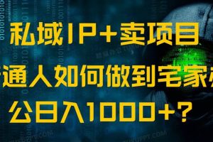 (14400期)私域IP+卖项目,普通人如何做到宅家办公实现日入1000+