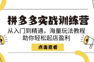 (14392期)拼多多实战训练营,从入门到精通,海量玩法教程,助你轻松起店盈利