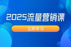 (14313期)2025流量营销课:直击业绩卡点, 拓客新策略, 提高转化率, 设计生意模式