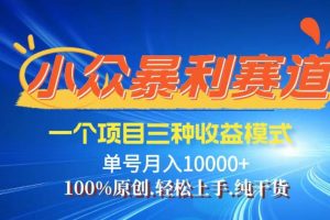 (14300期)【灵狐计划】视频号最新爆火赛道,三种收益模式,0粉新号条条热门原创…