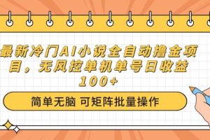 (14292期)最新冷门AI小说全自动撸金项目,无风控单机单号日收益100+