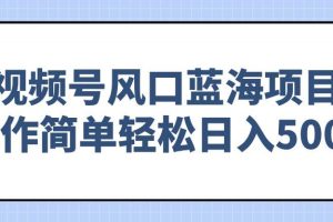 (14276期)视频号风口蓝海项目,操作简单轻松日入500+