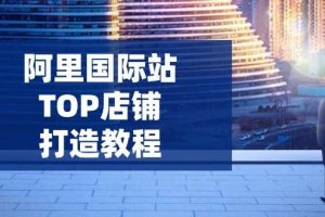 (14269期)阿里国际站TOP店铺打造教程:涵盖平台到高阶,解决运营难题,提升询盘