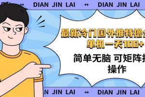 (14255期)最新国外推特撸金项目,单机一天100+简单无脑 矩阵操作收益最大【使用…