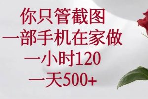 (14248期)你只管截图,一部手机在家做,一小时120,一天500+