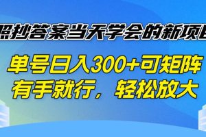 (14246期)照抄答案当天学会的新项目,单号日入300 +可矩阵,有手就行,轻松放大