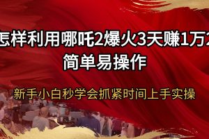 (14245期)怎样利用哪吒2爆火3天赚1万2简单易操作新手小白秒学会抓紧时间上手实操