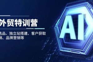 (14217期)AI外贸特训营:AI快速选品、独立站搭建、客户获取、邮件营销、品牌营销等