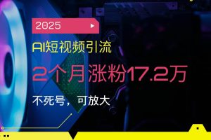 (14213期)2025AI短视频引流,2个月涨粉17.2万,不死号,可放大