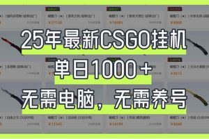 (14178期)25年最新CSGO挂机系统,单日1000+,无需电脑,无需养号,0基础可上手